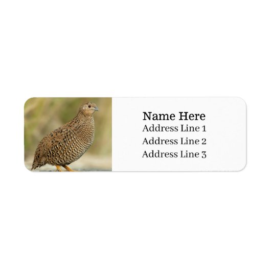 ビューティフルウズイルバード差出人住所 ラベル (正面)