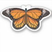 ビューティフルオレンジバタフライスケッチ絵を描ズ シール (正面)