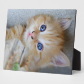 ビューティフルオレンジ虎猫キッテン フォトプラーク (側面)