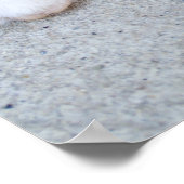 ビューティフルオレンジ虎猫キッテン ポスター (角)