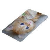 ビューティフルオレンジ虎猫キッテン マグネット (左側)