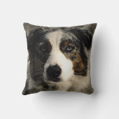 ビューティフルオーストラリアシェパードカスタムパーソナライズされた クッション (裏面)