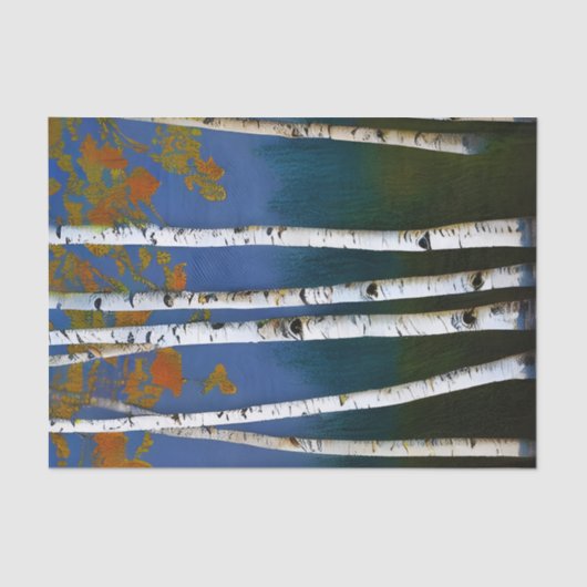 ビューティフルオータム樺の木 薄葉紙 (正面)