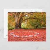 ビューティフルオータム秋自然フェアリーリングや輪 ポストカード (正面/裏面)