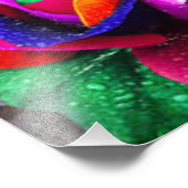 ビューティフルカラフルレインボーバラ フォトプリント            (角)