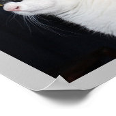 ビューティフルキャットプリント ポスター (角)