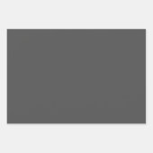 ビューティフルキリンテーマ ラッピングペーパーシート (正面3)