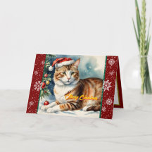 ビューティフルクリスマスホリデーコレクシモダンョン