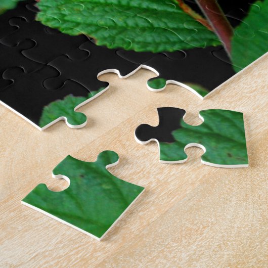 ビューティフルクローズアップ(昆虫)オオカバマダラ、モナークバタフライパズル ジグソーパズル (側面)