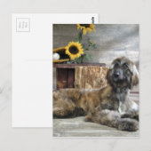 ビューティフルグレーアフガンハウンドッグ ポストカード (正面/裏面)