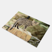 ビューティフルグレーブラックベンガル子猫 ドアマット (アングル)