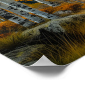 ビューティフルゴールデン紙樺の木フォレスト ポスター (角)