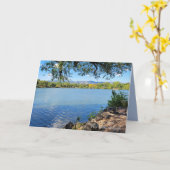 ビューティフルサマーズデイシティパークフォートコリンズCO カード (黄色い花)