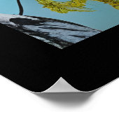 ビューティフルサマー樺の木 ポスター (角)