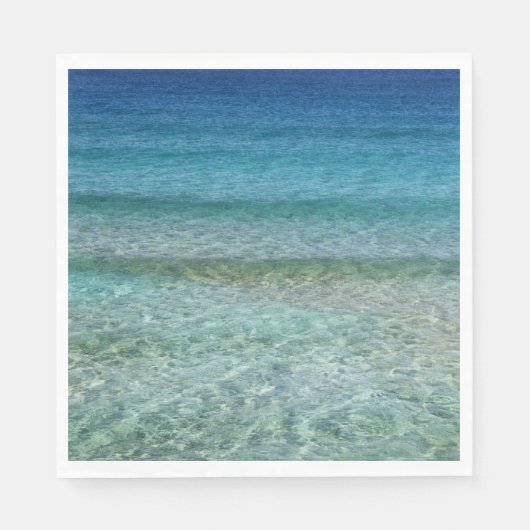 ビューティフルサンディビーチ スタンダードランチョンナプキン (正面)