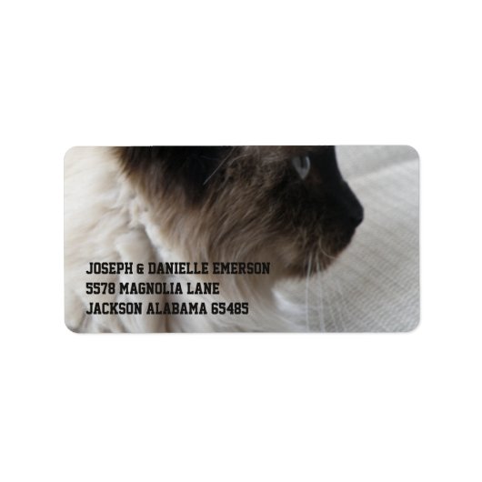 ビューティフルシャム子猫 ラベル (正面)