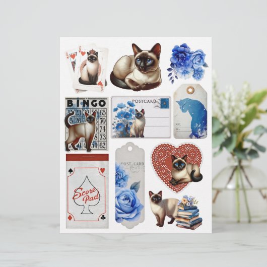 ビューティフルシャメネコヴィンテージエフェラ (スタンド正面)