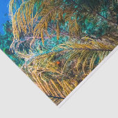 ビューティフルシータートルマリン水中競技ライフ 薄葉紙 (詳細)