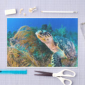 ビューティフルシータートルマリン水中競技ライフ 薄葉紙 (クラフト)