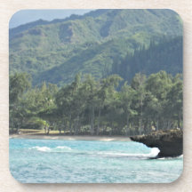 ビューティフルシーハワイアンバケーションコースター