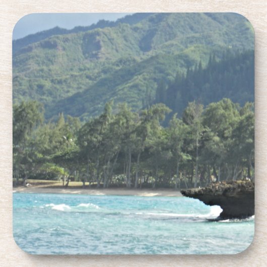 ビューティフルシーハワイアンバケーションコースター コースター (正面)