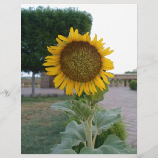 ビューティフルス素晴らしンフラワーアートプリント (正面)