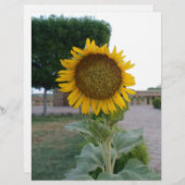 ビューティフルス素晴らしンフラワーアートプリント (正面/裏面)