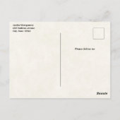 ビューティフルソレルホースポートレート ポストカード (裏面)