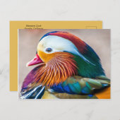 ビューティフルダックポートレート ポストカード (正面/裏面)