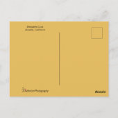 ビューティフルダックポートレート ポストカード (裏面)