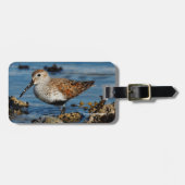 ビューティフルダンリンサンドパイパーアットザ春ビーチ ラゲッジタグ (正面横)