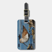 ビューティフルダンリンサンドパイパーアットザ春ビーチ ラゲッジタグ (正面縦)