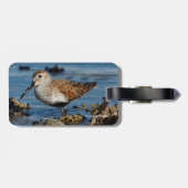 ビューティフルダンリンサンドパイパーアットザ春ビーチ ラゲッジタグ (裏面横)