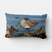 ビューティフルダンリンサンドパイパーアットザ春ビーチ ランバークッション (裏面)