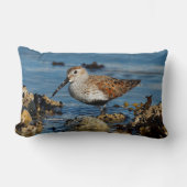 ビューティフルダンリンサンドパイパーアットザ春ビーチ ランバークッション (正面)