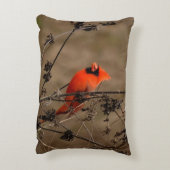 ビューティフルノーザン(鳥)ショウジョウコウカンチョウ アクセントクッション (裏面(縦))