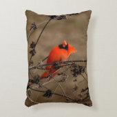 ビューティフルノーザン(鳥)ショウジョウコウカンチョウ アクセントクッション (正面(垂直))