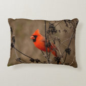 ビューティフルノーザン(鳥)ショウジョウコウカンチョウ アクセントクッション (裏面)
