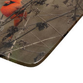 ビューティフルノーザン(鳥)ショウジョウコウカンチョウ カッティングボード (角)