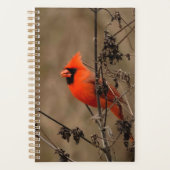 ビューティフルノーザン（鳥）ショウジョウコウカンチョウ プランナー手帳 (正面)