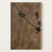 ビューティフルノーザン（鳥）ショウジョウコウカンチョウ プランナー手帳 (裏面)