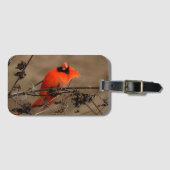 ビューティフルノーザン(鳥)ショウジョウコウカンチョウ  ラゲッジタグ (正面横)