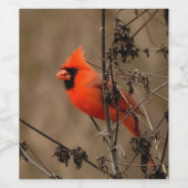ビューティフルノーザン（鳥）ショウジョウコウカンチョウ ワインラベル (シングルラベル)
