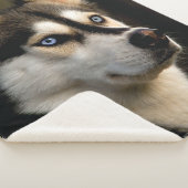 ビューティフルハスキー装飾用クッション シェルパブランケット (3/4)