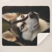 ビューティフルハスキー装飾用クッション シェルパブランケット (正面(横))