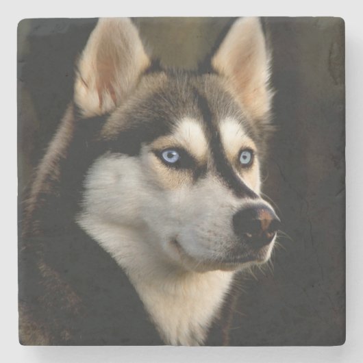 ビューティフルハスキー装飾用クッション ストーンコースター (正面)
