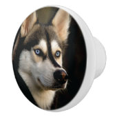 ビューティフルハスキー装飾用クッション セラミックノブ (右)