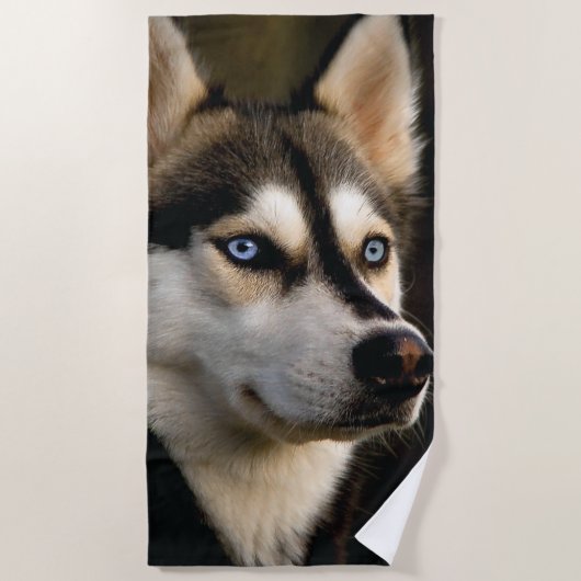 ビューティフルハスキー装飾用クッション ビーチタオル (正面)
