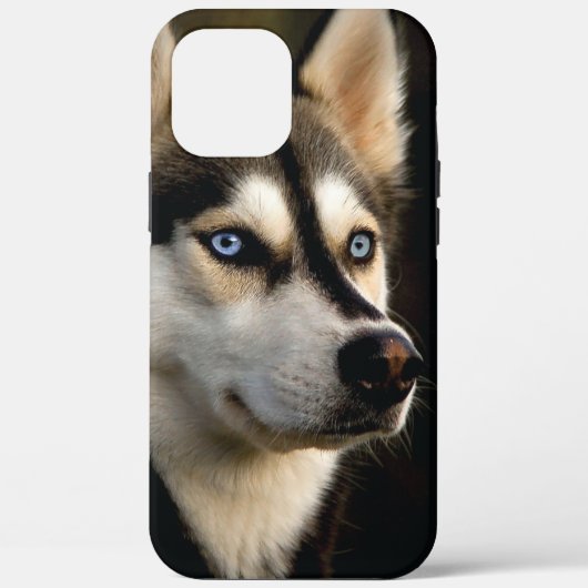 ビューティフルハスキー装飾用クッション Case-Mate iPhoneケース (裏面)