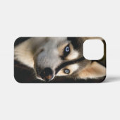 ビューティフルハスキー装飾用クッション iPhoneケース (裏面横)